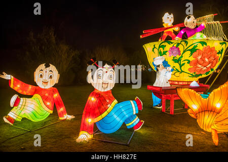 Londra, Regno Unito. Xvii gen, 2017. La lanterna magica festa giardini a Chiswick House dal 19 gennaio fino al 26 febbraio. I giardini ospitano la mostra che celebra il nuovo anno cinese. Il 2017 è l'anno del gallo. Sparso su 65 acri del Chiswick House site, ci sono più di cinquanta lanterne illuminate. Londra 17 gen 2017 Credit: Guy Bell/Alamy Live News Foto Stock