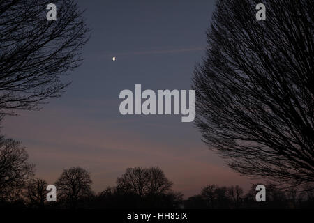 Londra, Regno Unito. 18 gennaio, 2017. Regno Unito Meteo. Bellissima alba e la mattina presto a Stoke Newington, Londra. Alberi e Luna in Clissold PArk. Credito: carol moiré/Alamy Live News. Foto Stock