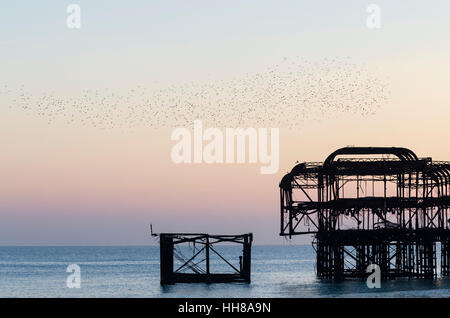 Brighton, East Sussex. 18 gennaio 2017. Regno Unito Meteo. Un mite inverno pieno di sole pomeriggio mette le persone al lungomare di guardare starling murmurations al crepuscolo, davanti al Brighton il Molo Ovest. Le temperature sono impostati a precipitare durante la notte a causa di un cielo terso in Gran Bretagna south coast, che conducono ad un'altra diffusa sharp frost. Credito: Francesca Moore/Alamy Live News Foto Stock