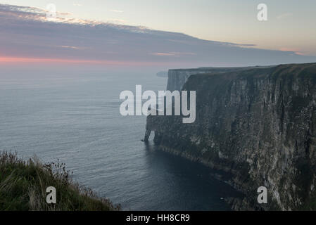 Bella mattina a Bempton Cliffs sulla costa orientale dell'Inghilterra. Drammatica pura chalk cliffs. Foto Stock