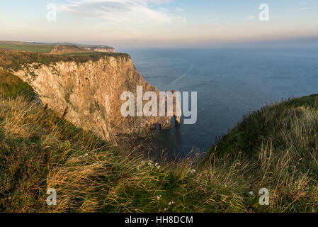 Bella mattina a Bempton Cliffs sulla costa orientale dell'Inghilterra. Una roccia naturale arco coperto con le sule. Foto Stock