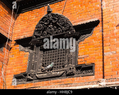 Pigeon seduto su una finestra, Kumari Bahal in Kathmandu Durbar Square, Nepal Foto Stock