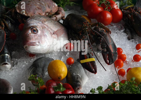 Frutti di mare su un mercato. Frutti di mare su ghiaccio. Foto Stock