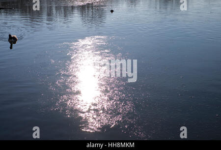 Parzialmente congelati lago nel South Norwood Country Park nel sud di Londra Inghilterra Foto Stock