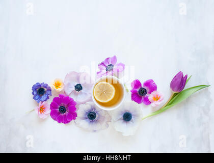 Lay piatto con fiori di primavera stabiliti su bianco e grigio fondale dipinto nella luce naturale Foto Stock