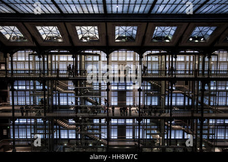 Il Museo Nazionale di Storia Naturale, interno, Parigi, Francia Foto Stock