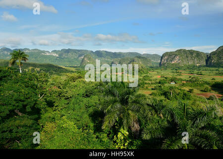 La valle de vinales, Cuba, Pinar del Rio provincia Foto Stock