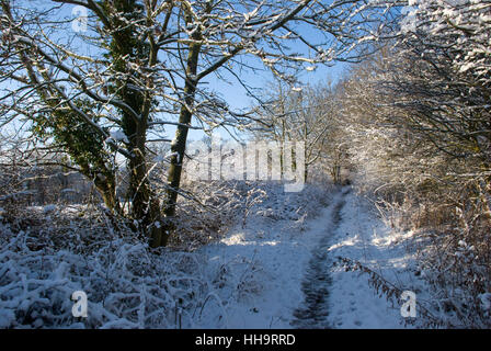 sentiero attraverso la campagna innevata in una luminosa giornata di sole con un cielo blu Foto Stock