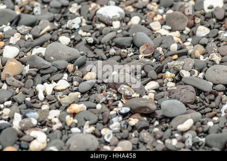 Pietre colorate conchiglie e alghe sulla riva, natura astratta sfondo Foto Stock