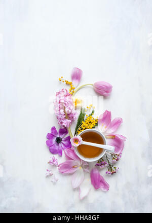 Tazza di tè con fiori di primavera e petali disposti su un dipinto di bianco e grigio Sfondo, ripresa dall'alto nella luce naturale Foto Stock