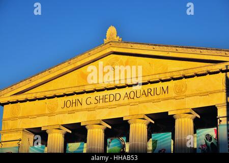 Chicago's Shedd Aquarium riflettendo il finale di raggi di sole su un tardo autunno il giorno. Chicago, Illinois, Stati Uniti d'America. Chicago, Illinois, Stati Uniti d'America. Foto Stock