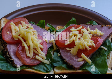 Toast con arrosti di carne, pomodori, sorrel e mozzarella servita sulla piastra di argilla Foto Stock