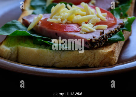 Toast con arrosti di carne, pomodori, sorrel e mozzarella servita sulla piastra di argilla Foto Stock