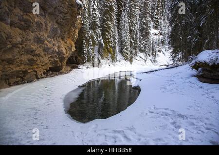 Paesaggio invernale panoramico Johnston Canyon Banff National Park Canada. Neve e acqua di stagno di fusione, pareti rocciose alberate, Montagne Rocciose Foto Stock