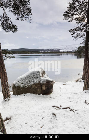 Inverno a Loch Garten in Scozia. Foto Stock