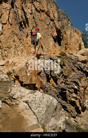 WYOMING - escursionista sul punto di ispirazione sentiero che conduce ad un belvedere che si affaccia sul Lago di Jenny nel Parco Nazionale di Grand Teton. Foto Stock