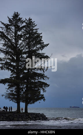 I surfisti silhouetted si trovano accanto a due alberi su un punto di terra nel fiume Jordan, un popolare punto di surf sull'Oceano Pacifico sull'isola di Vancouver, Foto Stock