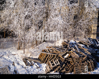 Pila di pallet in legno ricoperta di neve Foto Stock