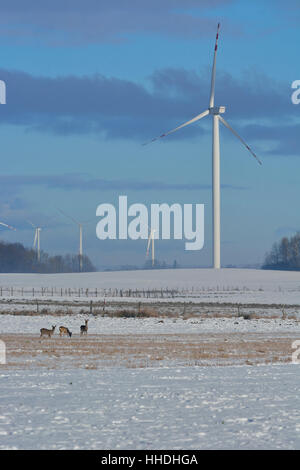 Campo invernale di turbine elettriche e cervi Foto Stock