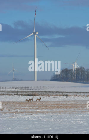 Campo invernale di turbine elettriche e cervi Foto Stock