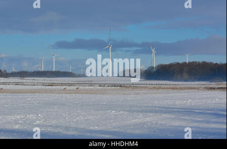 Campo invernale di turbine elettriche e cervi Foto Stock