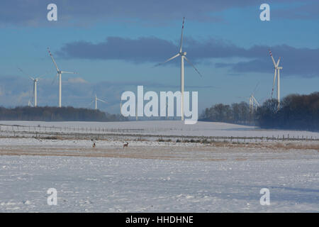 Campo invernale di turbine elettriche e cervi Foto Stock