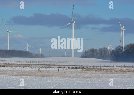 Campo invernale di turbine elettriche e cervi Foto Stock