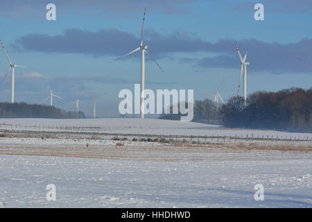 Campo invernale di turbine elettriche e cervi Foto Stock