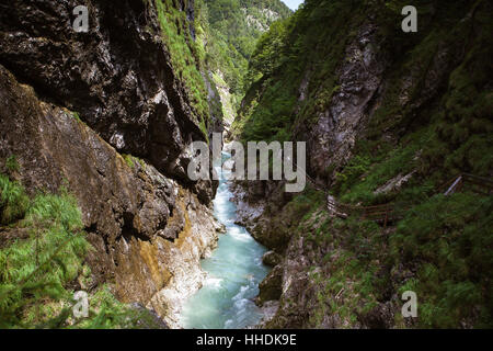 Burrone, agnelli, fiume, acqua, montagne, Wild, alpi orrido, Vista, Vista, Foto Stock