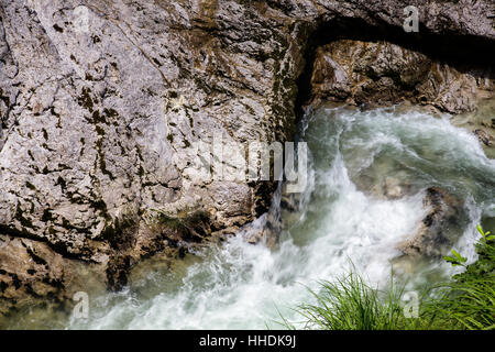 Burrone, agnelli, fiume, acqua, montagne, Wild, alpi orrido, Vista, Vista, Foto Stock