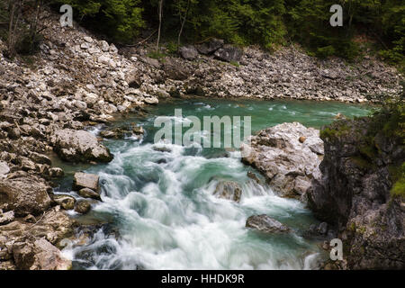 Burrone, agnelli, fiume, acqua, montagne, Wild, alpi orrido, Vista, Vista, Foto Stock