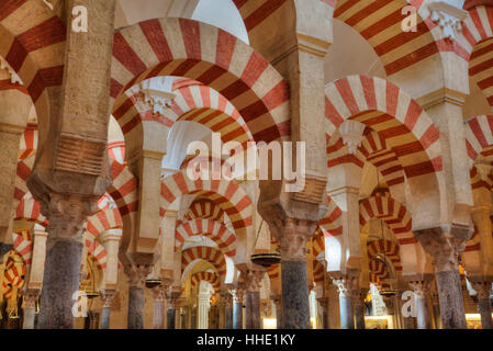 Gli archi e le colonne, la grande moschea (Mesquita) e Cattedrale di Cordoba, UNESCO, Cordoba, Andalusia, Spagna Foto Stock