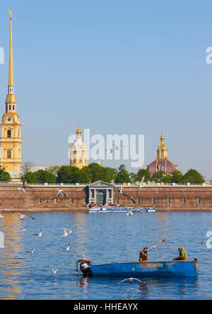 Gli uccelli di volare intorno una barca da pesca sul fiume Neva con la Fortezza di Pietro e Paolo in background San Pietroburgo Russia Foto Stock