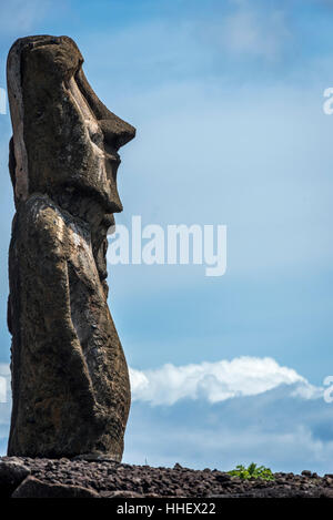 La luce del mattino sul ahu Tongariki, Isola di Pasqua. Tongariki è il più grande Ahu ( piattaforma cerimoniale) nell isola di pasqua con 15 Moai statue () . Foto Stock