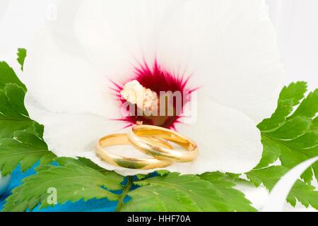 Gioielli, gioielleria, hibiscus, anelli fedi, coriandoli, matrimonio, vita Foto Stock