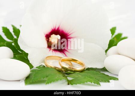 Gioielli, gioielleria, hibiscus, anelli fedi, coriandoli, matrimonio, vita Foto Stock