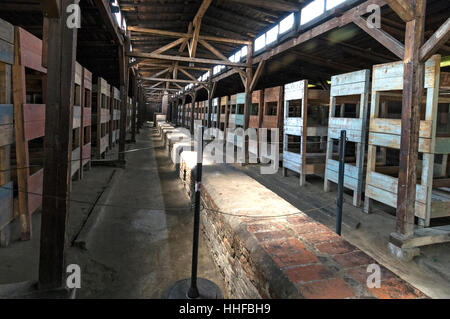 Interno di una capanna in legno uno dei pochi sopravvissuti donna dormitori con letti a castello ad Auschwitz 11-Birkenau vicino a Oswiecim in Polonia Foto Stock