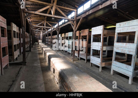 Interno di una capanna in legno uno dei pochi sopravvissuti donna dormitori con letti a castello ad Auschwitz 11-Birkenau vicino a Oswiecim in Polonia Foto Stock