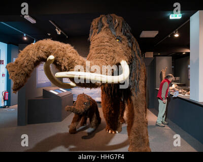 Wooly mammoth, Helms-Museum = Museo Archeologico di Amburgo, Germania Europa Foto Stock