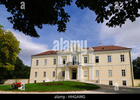 Wilfersdorf: Liechtenstein Castello, Weinviertel, Niederösterreich, Austria Inferiore, Austria Foto Stock