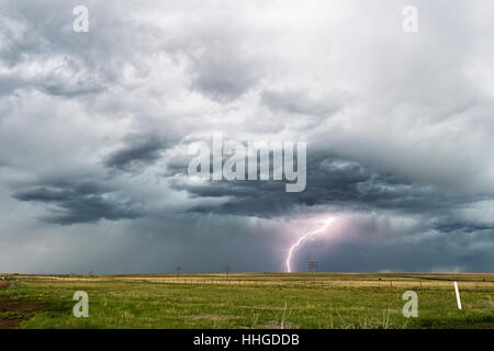 Fulmine sciopero da una tempesta estiva su un campo in New Mexico Foto Stock