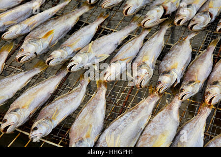Cibo, aliment, all'interno, isolato, pietra, pesce, rock, tradizionale, pesca, asciutto, Foto Stock