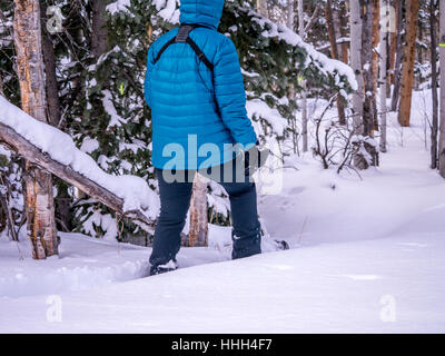 Femmina con le racchette da neve in inverno wonderland Foto Stock