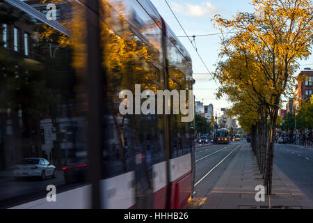 Nuovo tram che passa da alberi su Spadina Avenue durante la caduta, Toronto, Canada Foto Stock