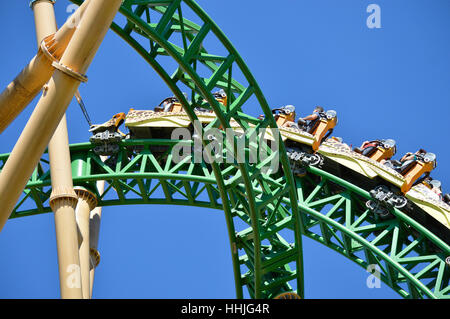 I turisti sul Cheetah Hunt roller coaster in Busch Gardens Tampa Foto Stock