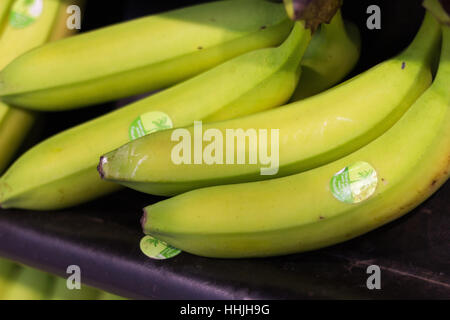 Le banane in vendita su scaffale di supermercato Foto Stock