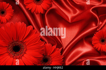 Red tessuto satin drappeggiato a forma di cuore e rosso gerbera fiori per il giorno di San Valentino sfondo Foto Stock