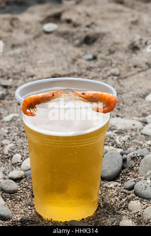 Bella gamberetti su una lastra di vetro con la birra a terra Foto Stock