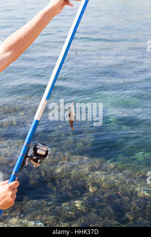 Il pesce agganciato ad un gancio e appeso a una impalcatura contro il mare Foto Stock