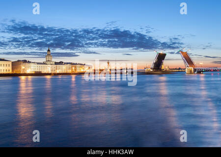 Il Palazzo sollevata a ponte bianco notti nella città di San Pietroburgo Foto Stock